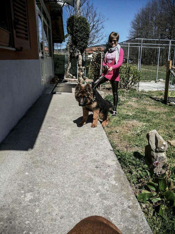 La Locanda Degli Elfi Viggianello Luaran gambar