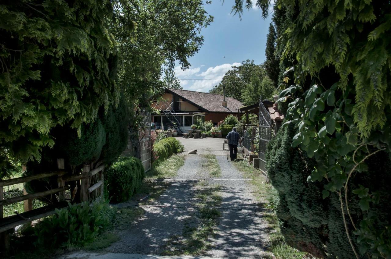 La Locanda Degli Elfi Viggianello Luaran gambar